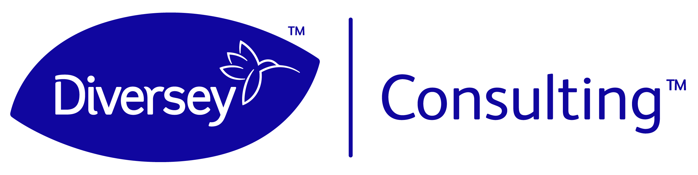 Diversey Consulting